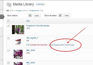 Image Upload fix thumbnail for Post in WordPress